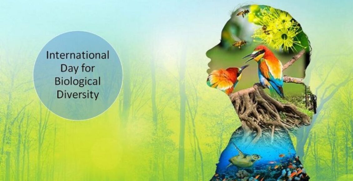 biological diversity