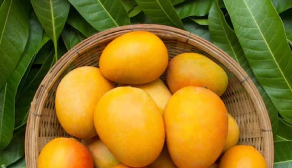 mangoes