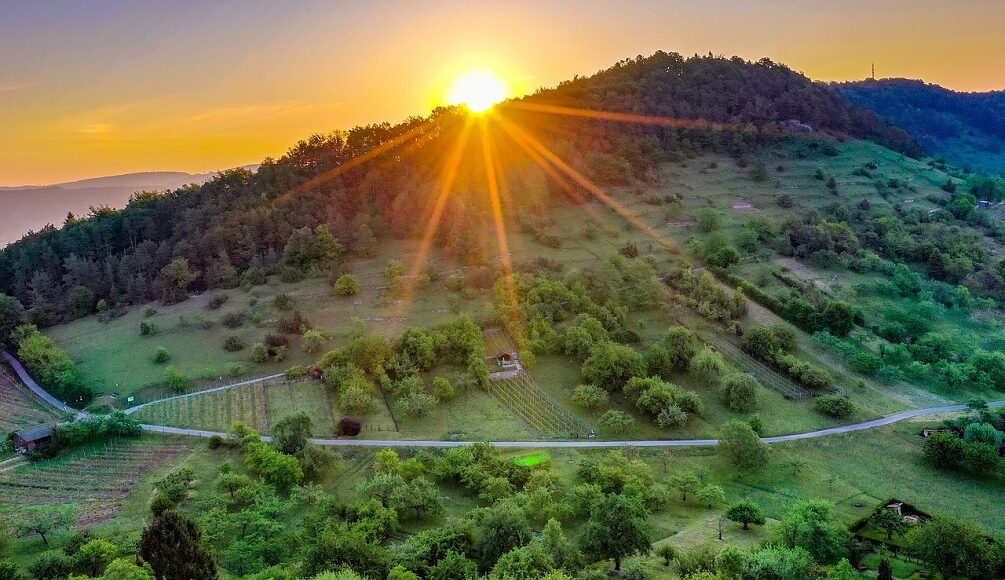 nature
