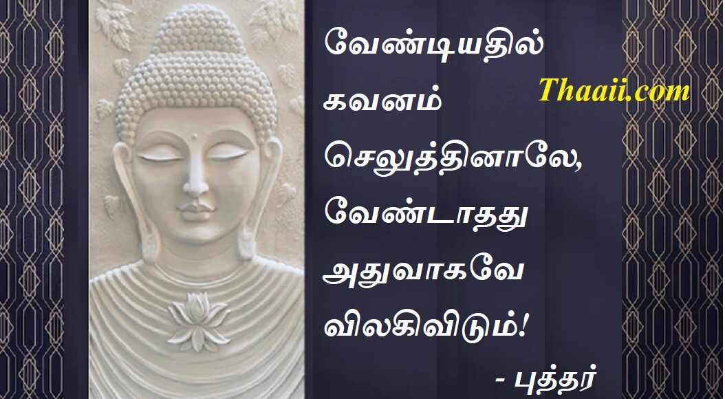 buddha34