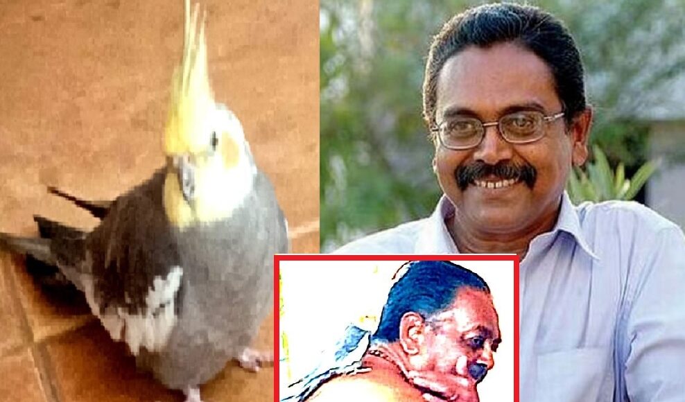 vannadhasan