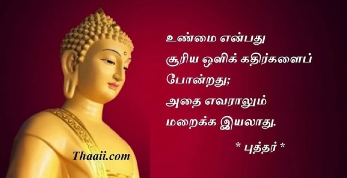 buddha64