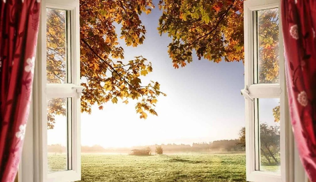window