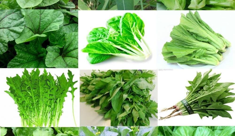 greens-leaf-greens-1000×1000