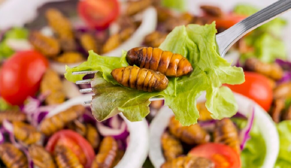 insects3