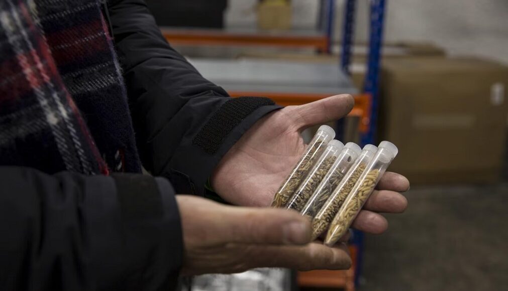 Svalbard global seed vault 5