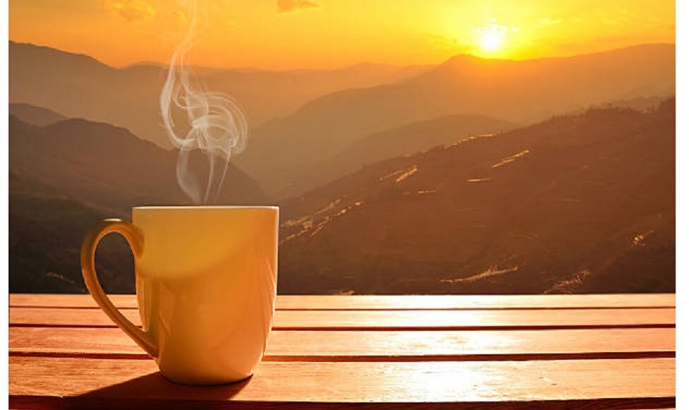 coffee