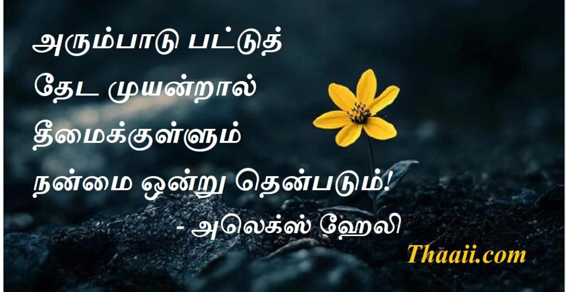 flower5