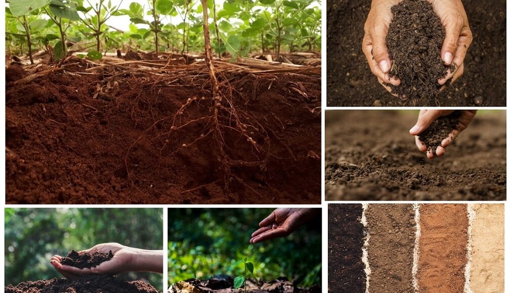 soil
