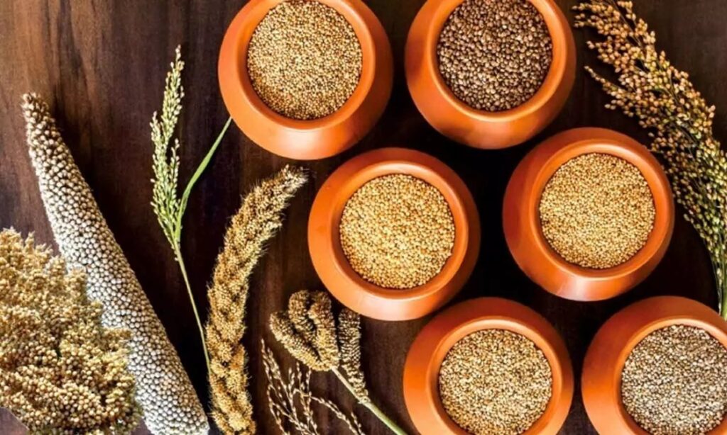 2023 ஆம் ஆண்டை, சிறுதானிய ஆண்டாக இந்தியா அறிவித்திருந்தது. சிறுதானிய விவசாயிகளை ஊக்குவிக்க, இந்திய சிறுதானிய வலை அமைப்பு போன்ற அமைப்புகள் உள்ளன.
