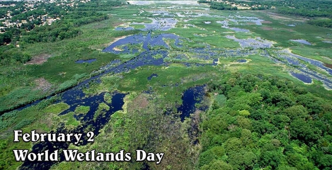 World Wetlands Day3