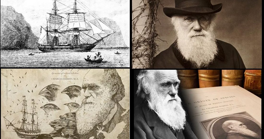 darwin