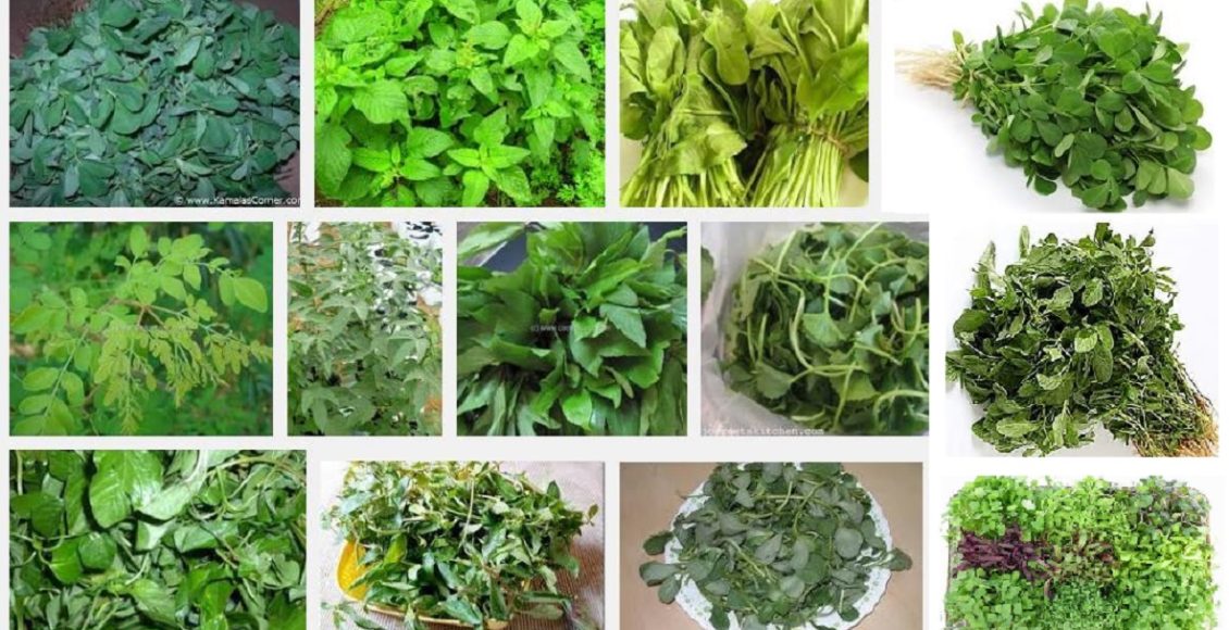 green leaf