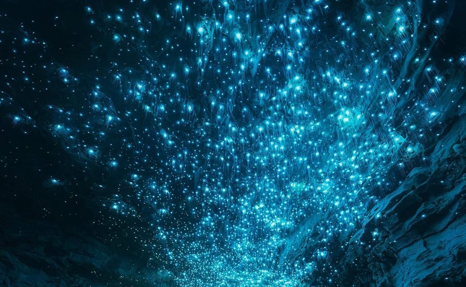 Glowworm Caves 11