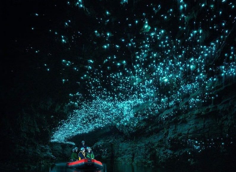 Glowworm Caves