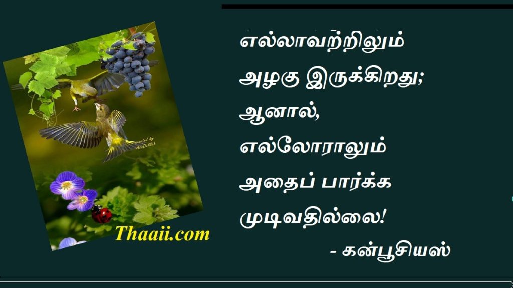 உணர்வதில் இருக்கிறது அழகும் ஆனந்தமும்!